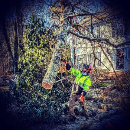 Arborist in neon jacket chainsaws a large fallen tree limb near a house in a wooded yard.