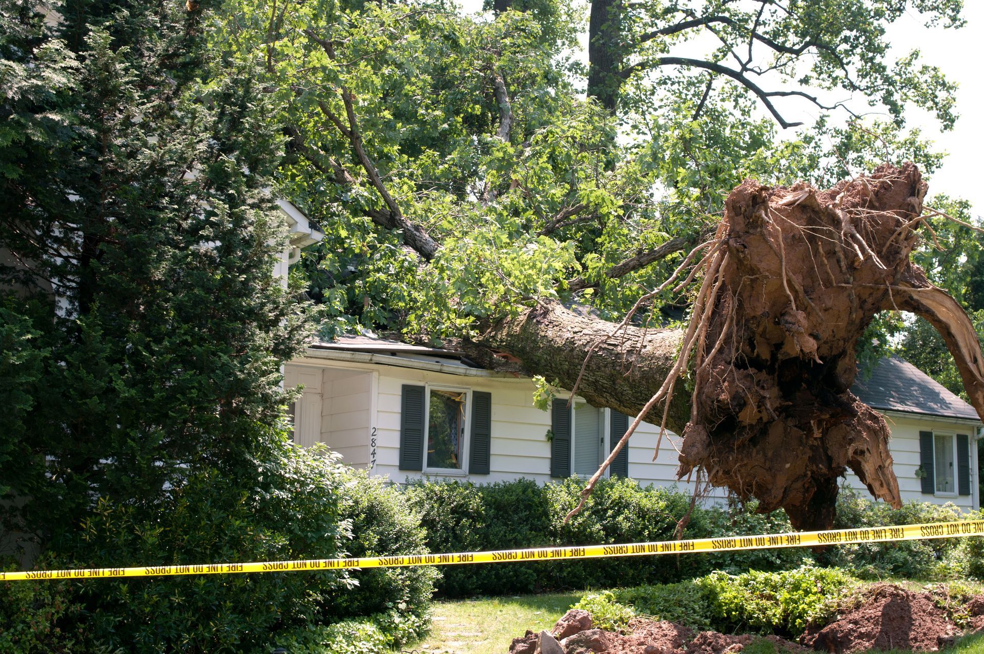 Upturned tree beside a house, with yellow caution tape across a debris-strewn yard.