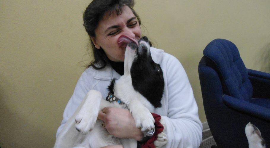 Woman being kissed on the nose by a black and white dog indoors, both smiling.