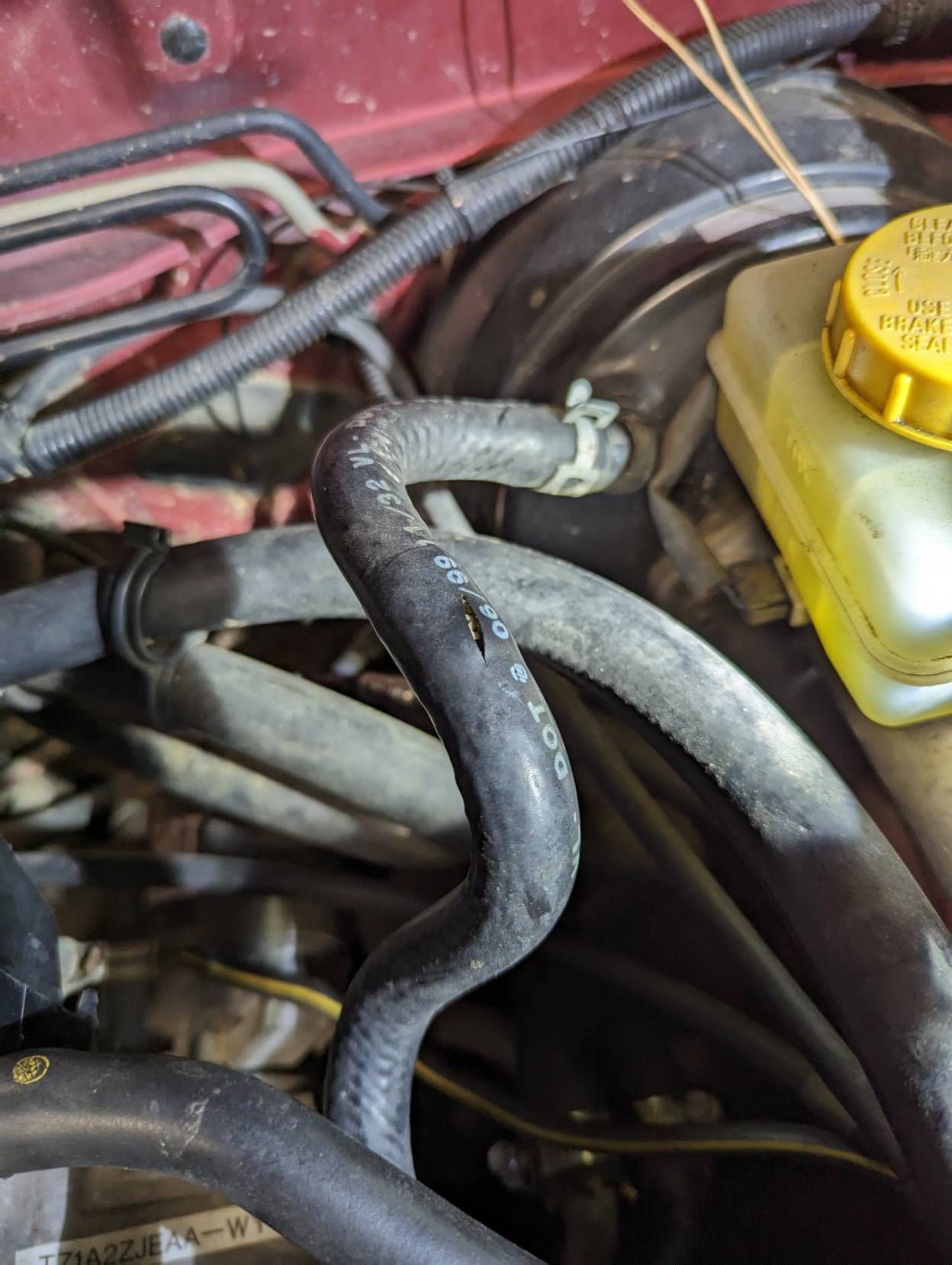 A cracked, curved rubber hose in a car engine compartment.  Hose has a split with visible interior.