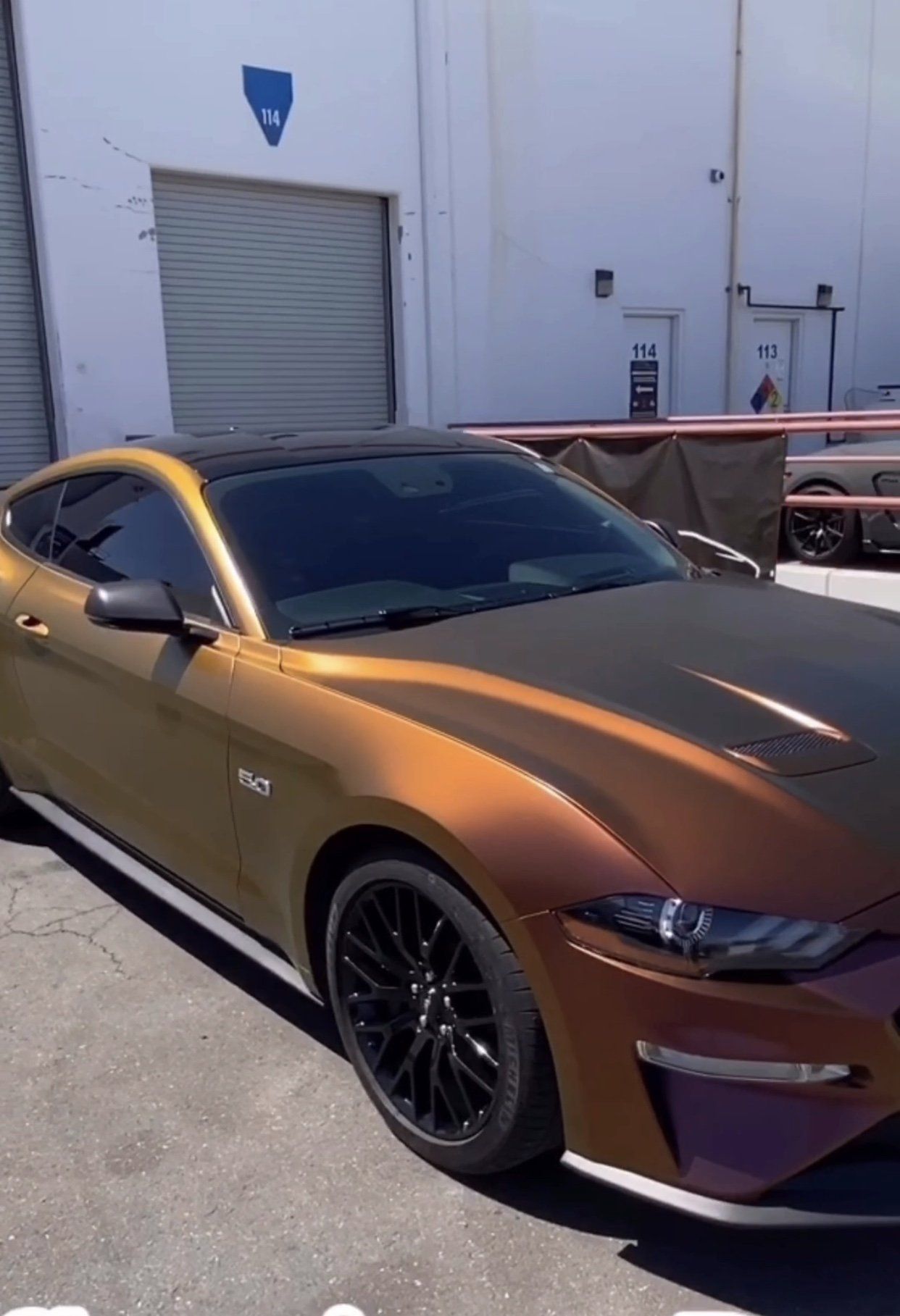 Stunning vehicle wraps