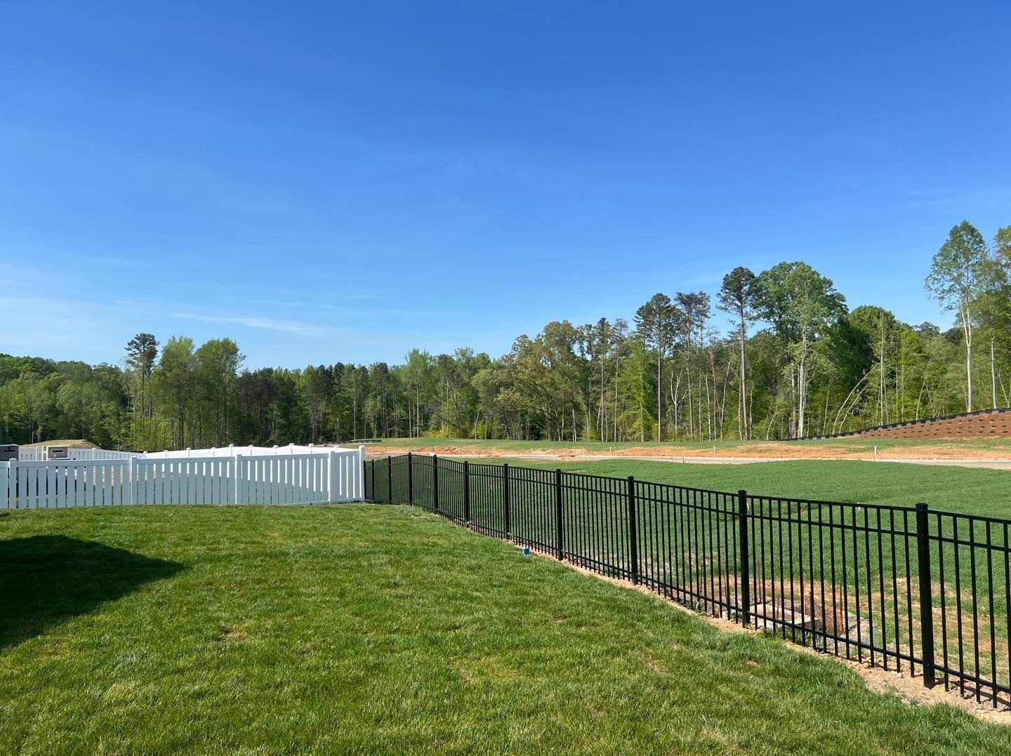 Green lawn with white and black fences under a blue sky, trees in the background.