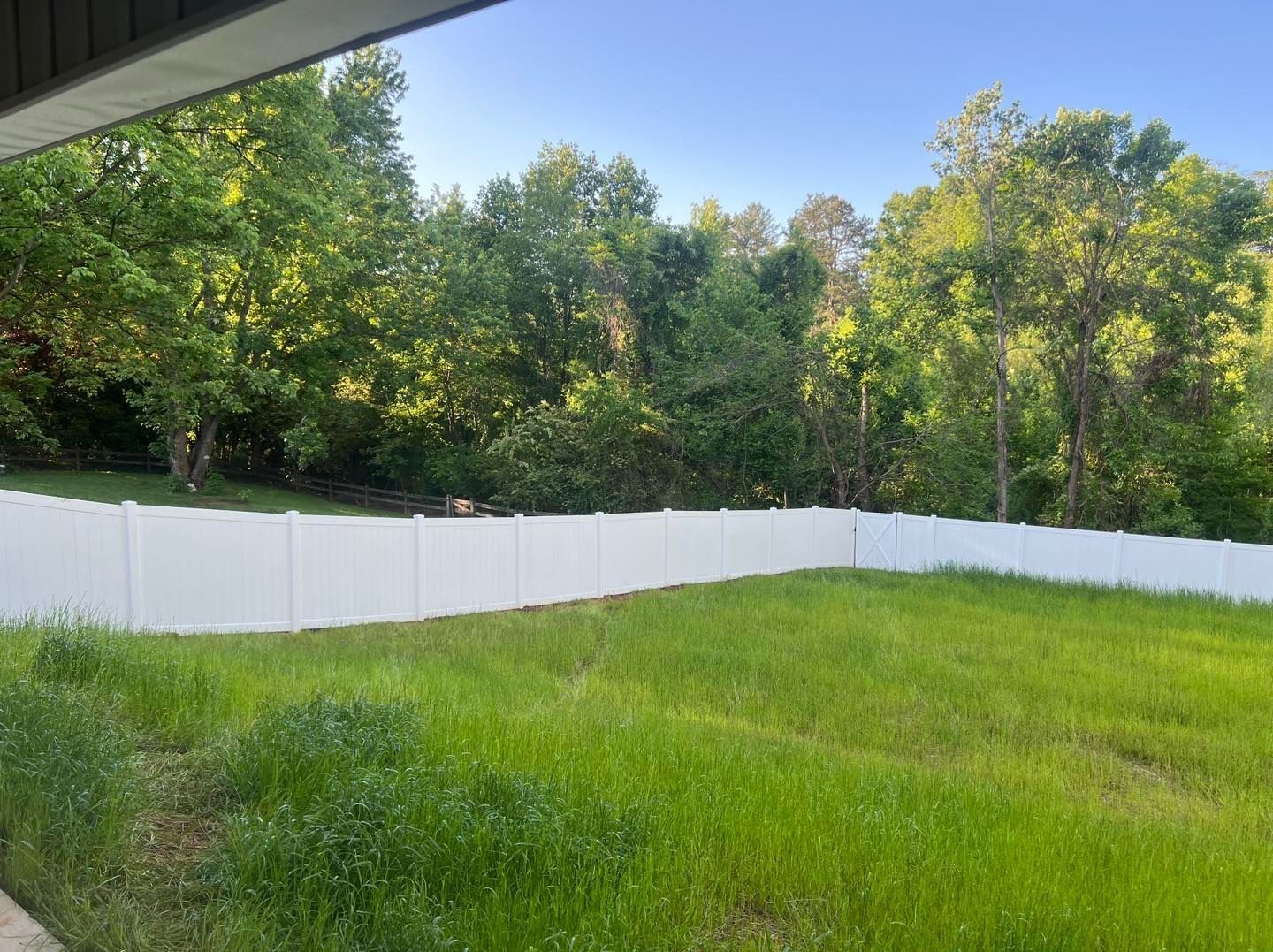 A grassy backyard with a white fence bordering lush green trees under a blue sky.