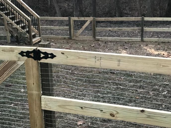 Wooden fence with wire mesh and gate in a wooded area. Black hinge and steps in the background.