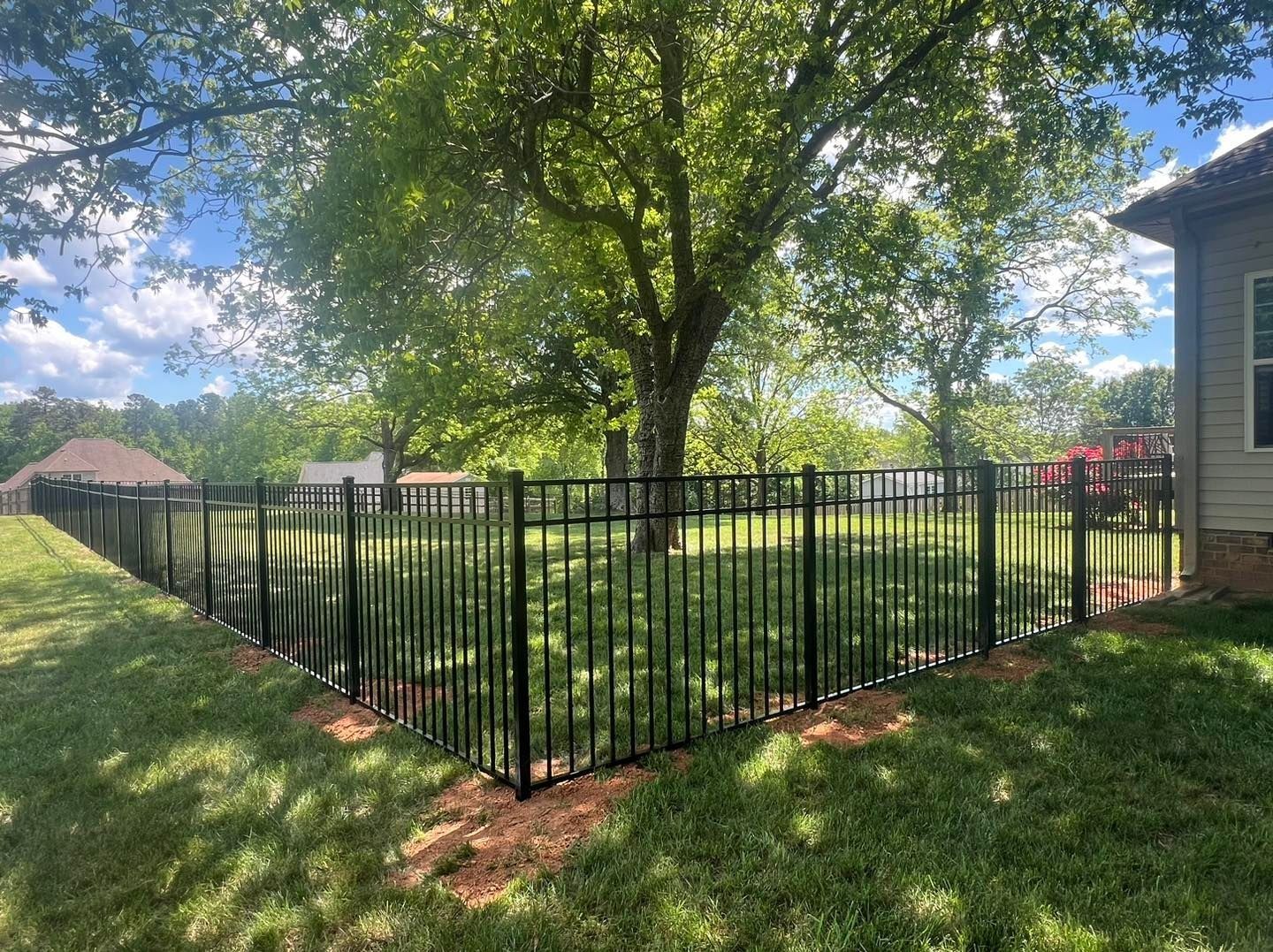 Black metal fence encloses a backyard with a large tree in the center. Green grass and blue sky.