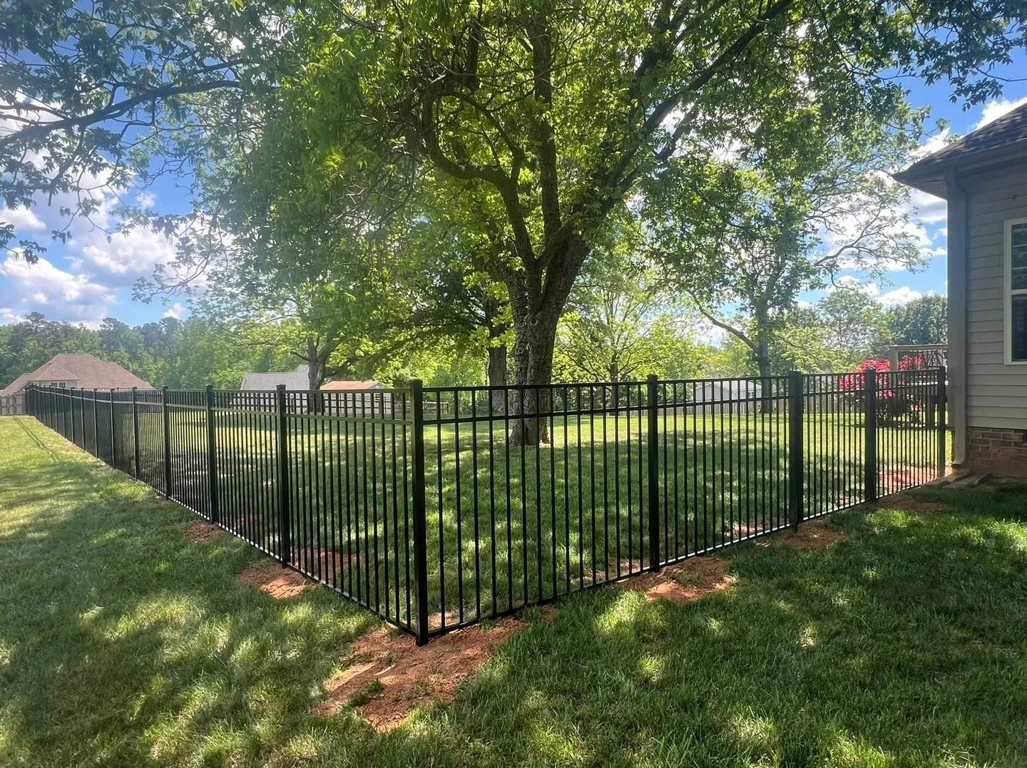 Black metal fence encloses a backyard with a large tree and house in the background.