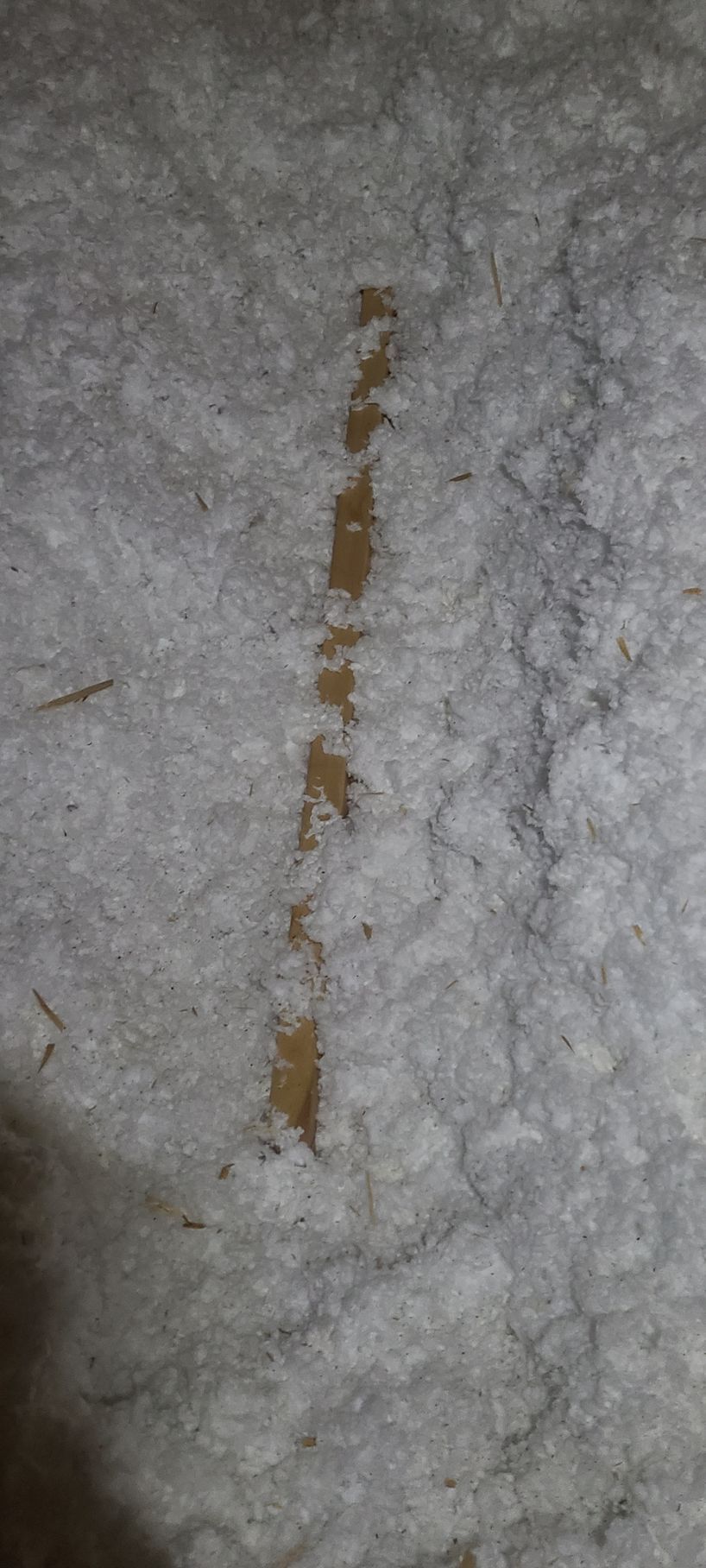 A vertical, light brown stripe runs through a snow-covered surface.