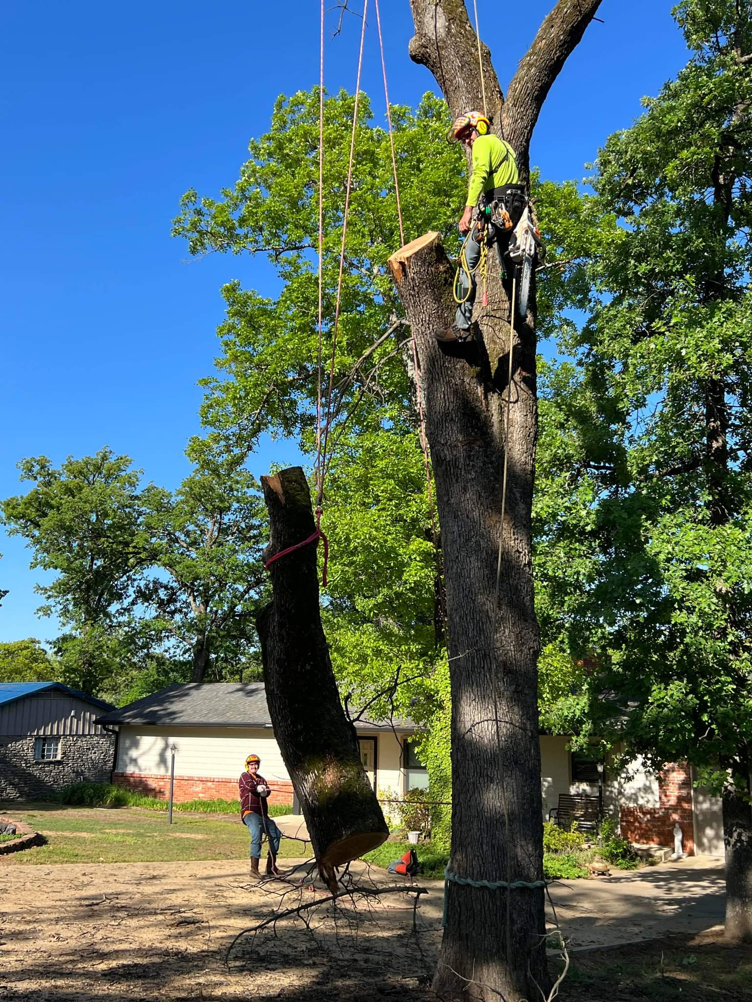 Tree Services Mercer Tree Service LLC Oklahoma City, OK