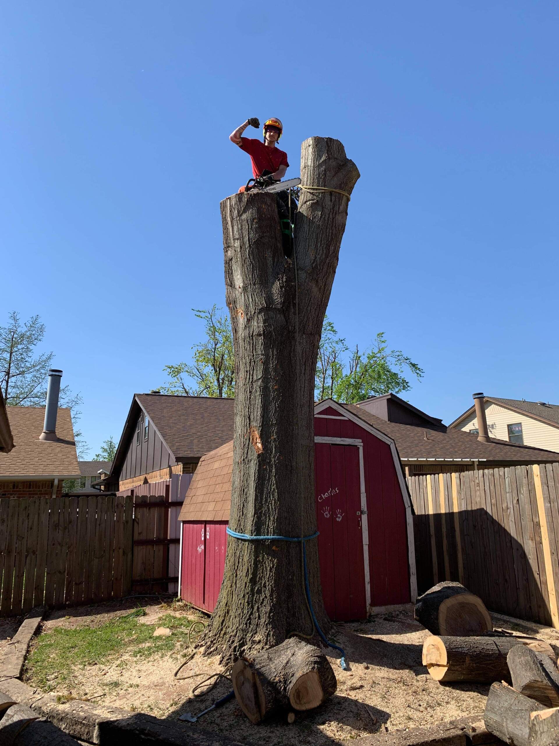 Tree Services Mercer Tree Service LLC Oklahoma City, OK