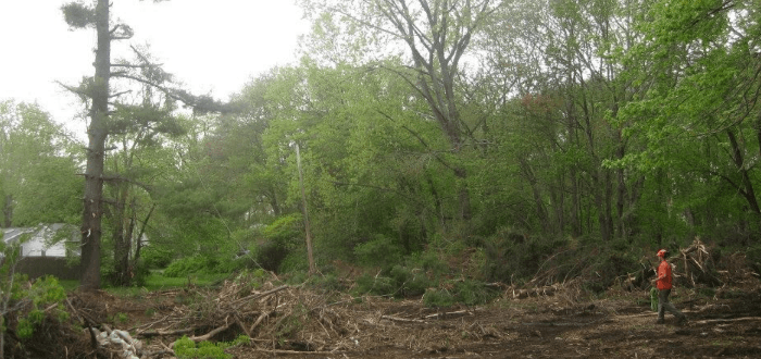 land clearing