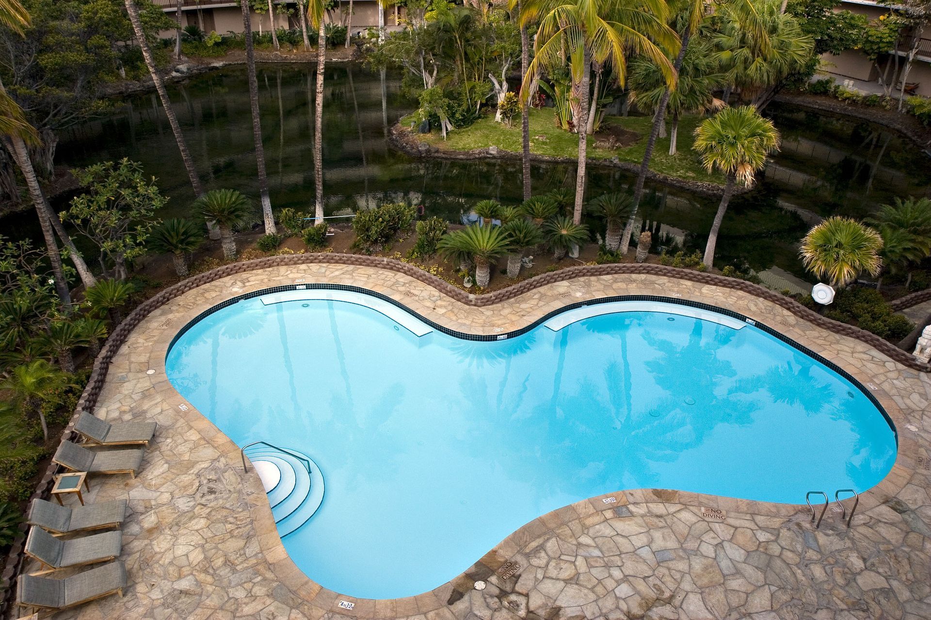 Swimming pool with curved edges surrounded by stone and lush vegetation. Palm trees and a dark pond visible.