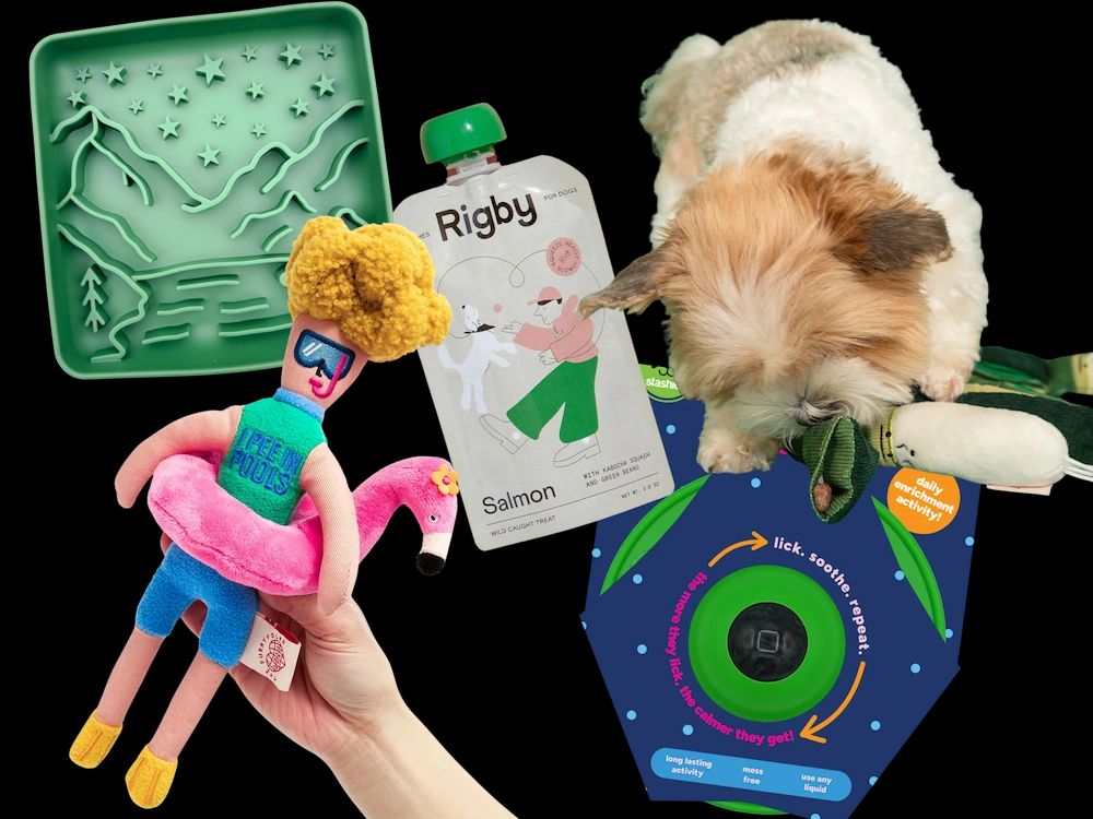 A dog beside craft items: a doll, green tray, card, and blue hexagon toy on a black background.