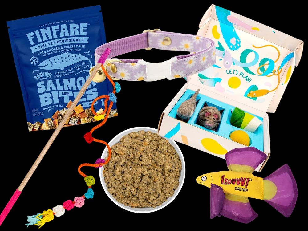 Assortment of colorful pet treats and toys, including salmon bites, a bowl of kibble, and a pink wand toy.