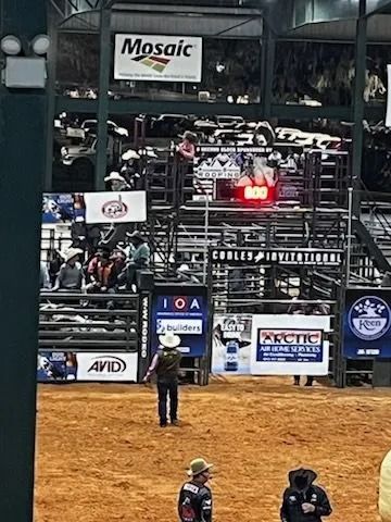 A rodeo arena with a cowboy walking in the dirt. Crowds in the stands, and advertisements on the walls.