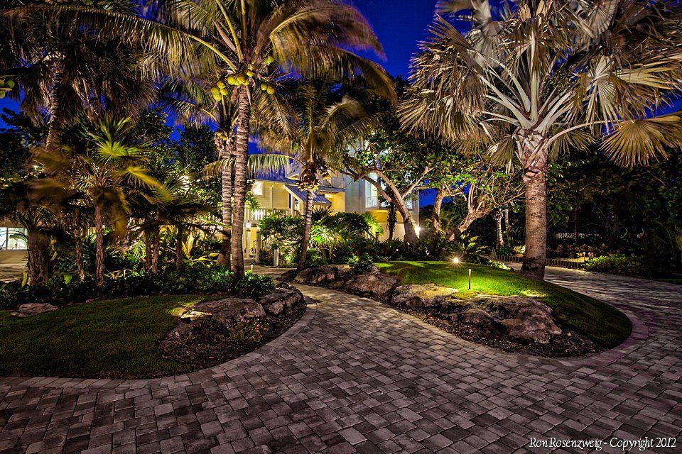 A brick walkway surrounded by palm trees is lit up at night.