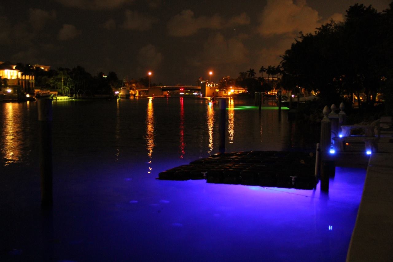A dock is lit up with blue lights at night.