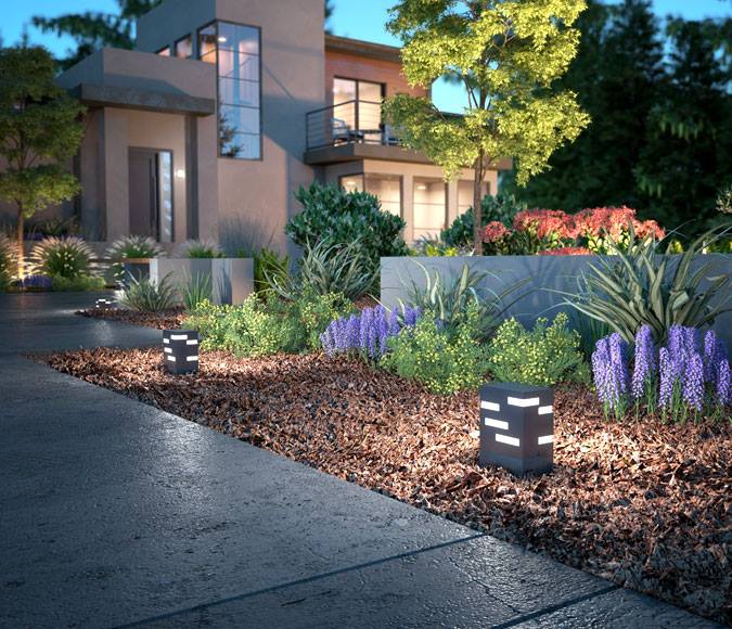 A house with purple flowers in front of it