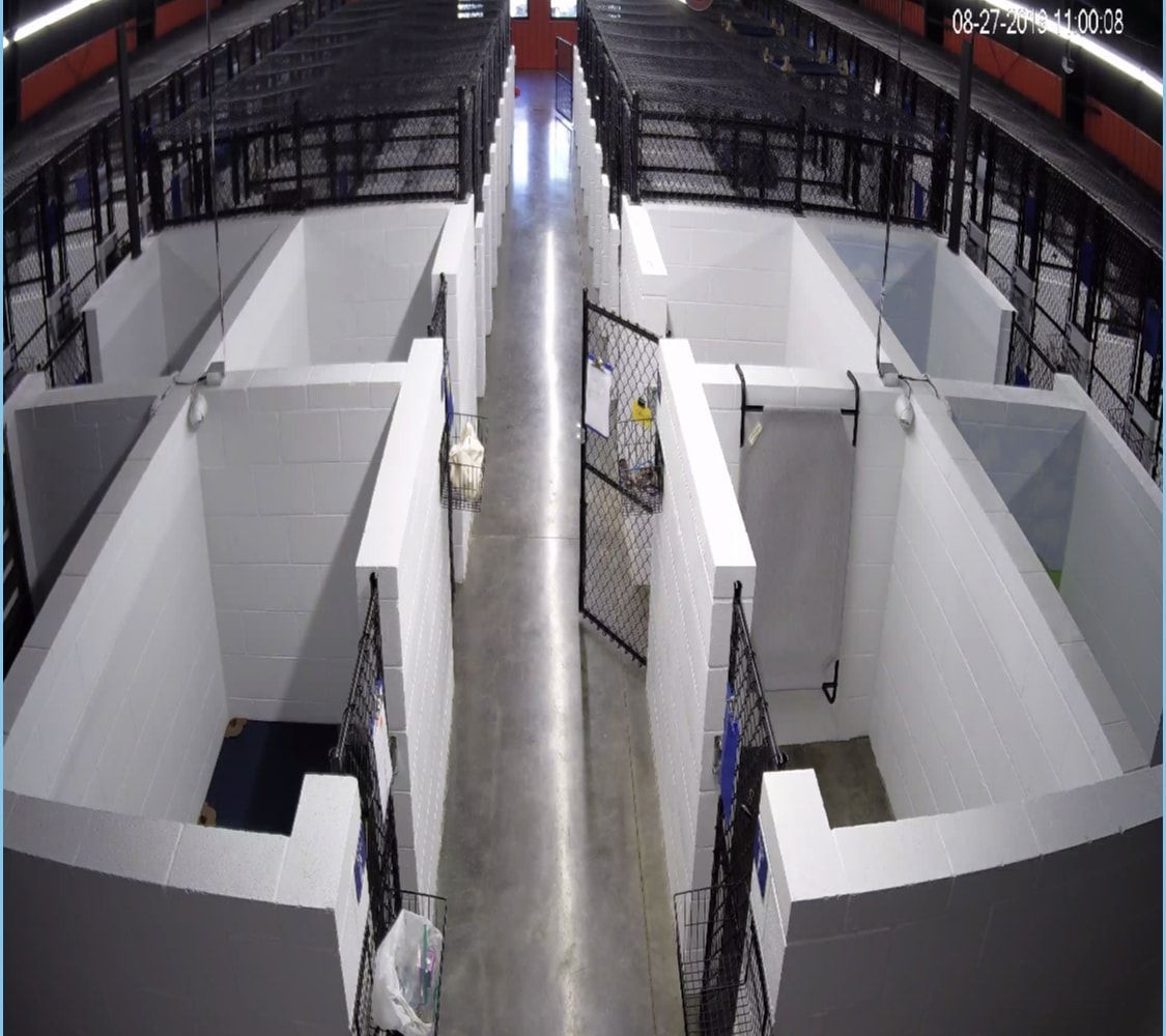 A picture of a dog kennel with a fence in the background