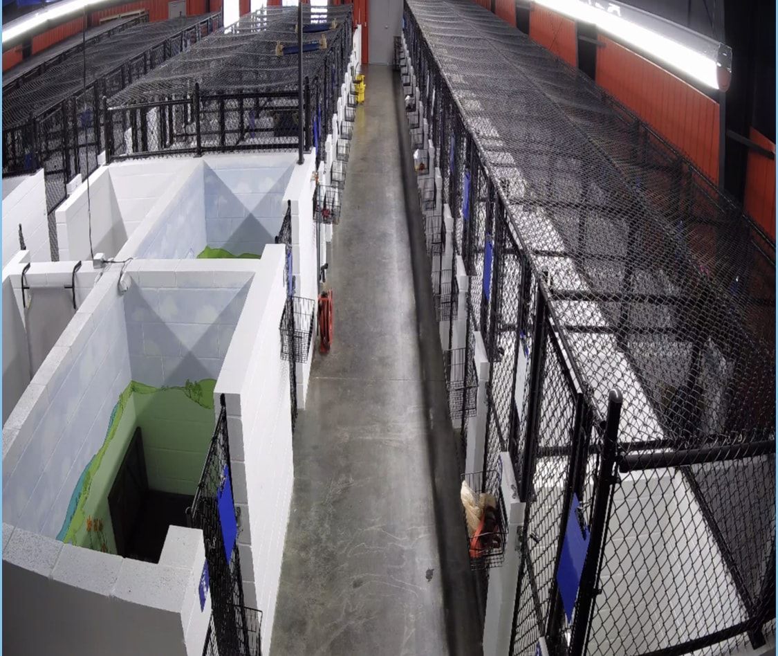 A long hallway with a bunch of containers in it