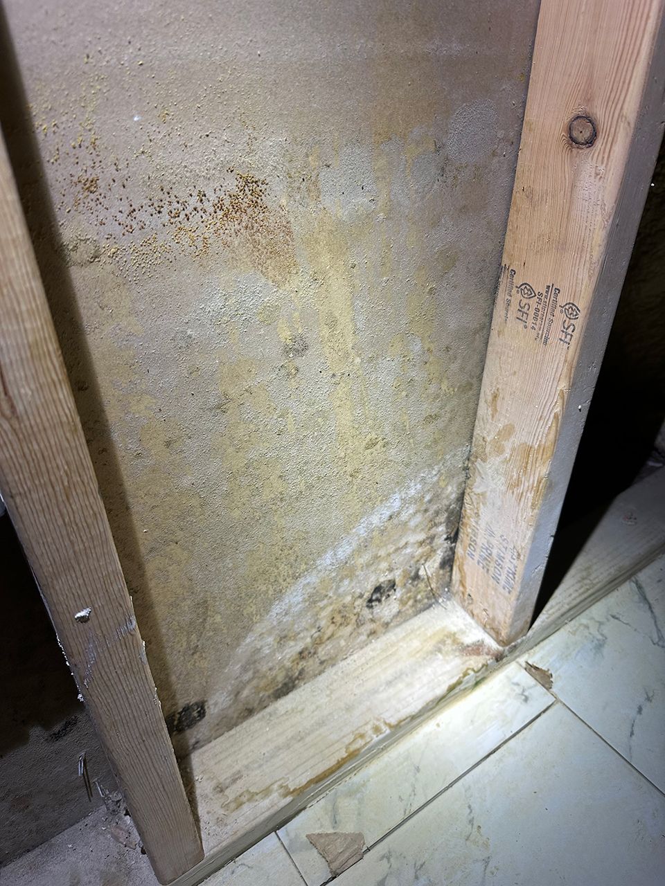 A close up of a wall with mold on it and a wooden frame