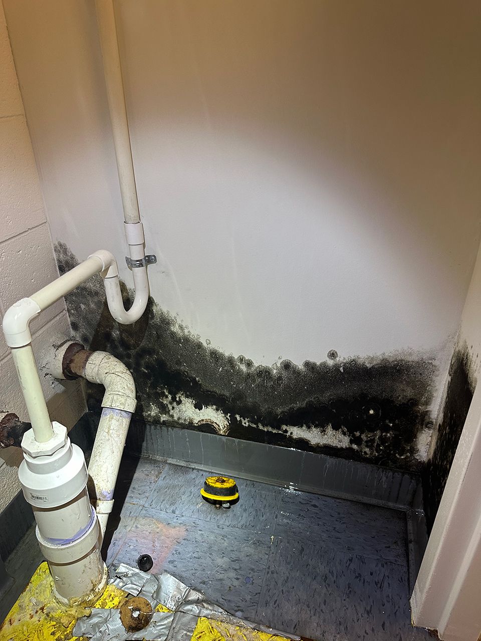 A room with black mold on the wall and floor