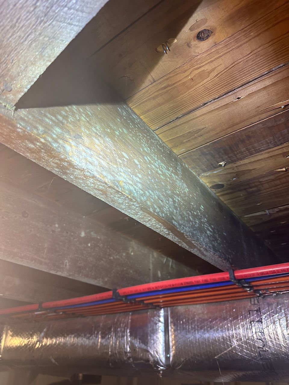 A close up of a wooden ceiling with a lot of molds