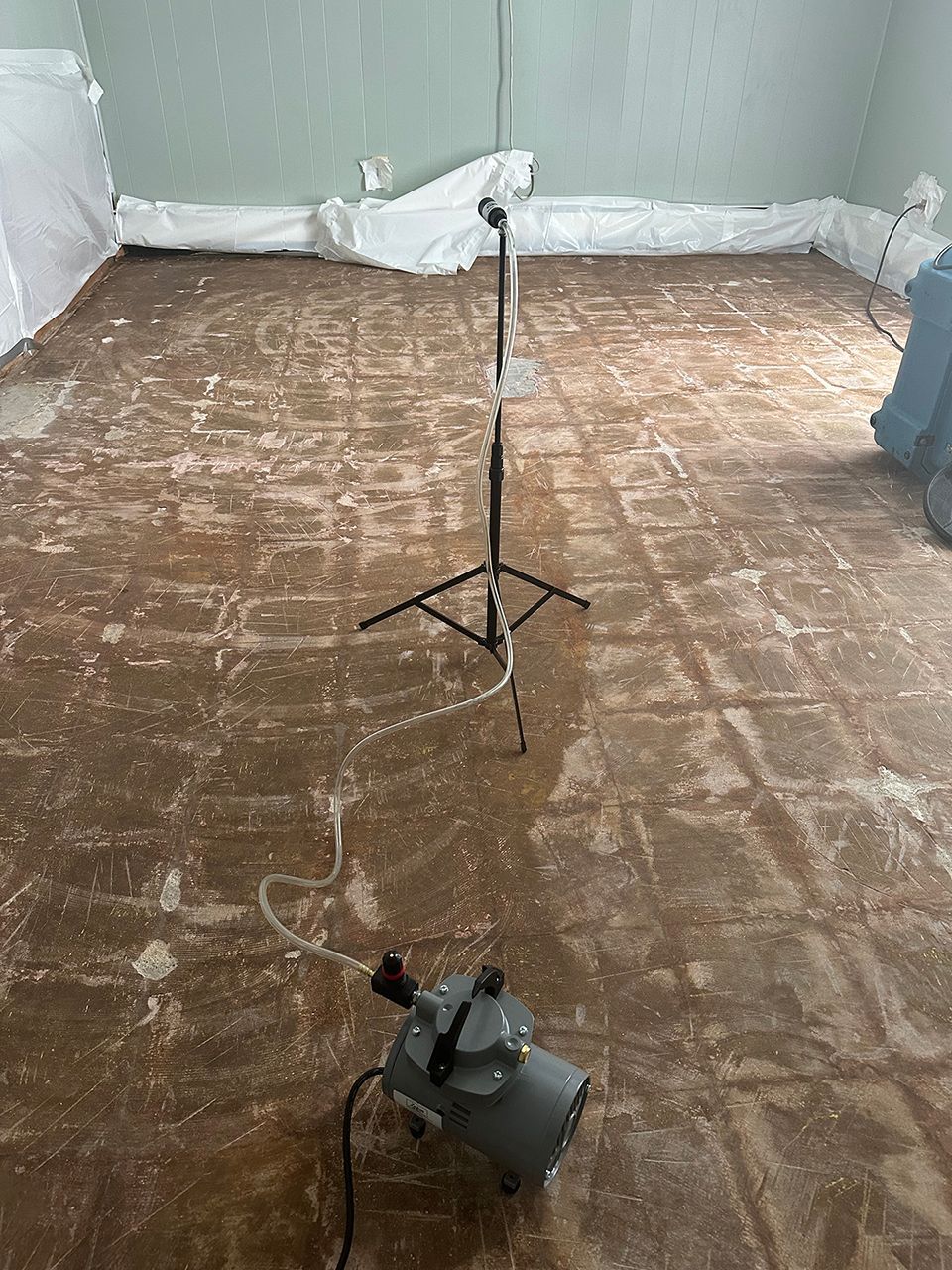 Inspecting and detecting molds in the room