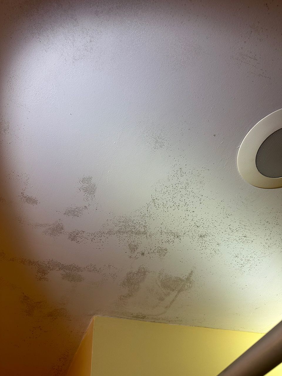 A close up of a ceiling with mold on it