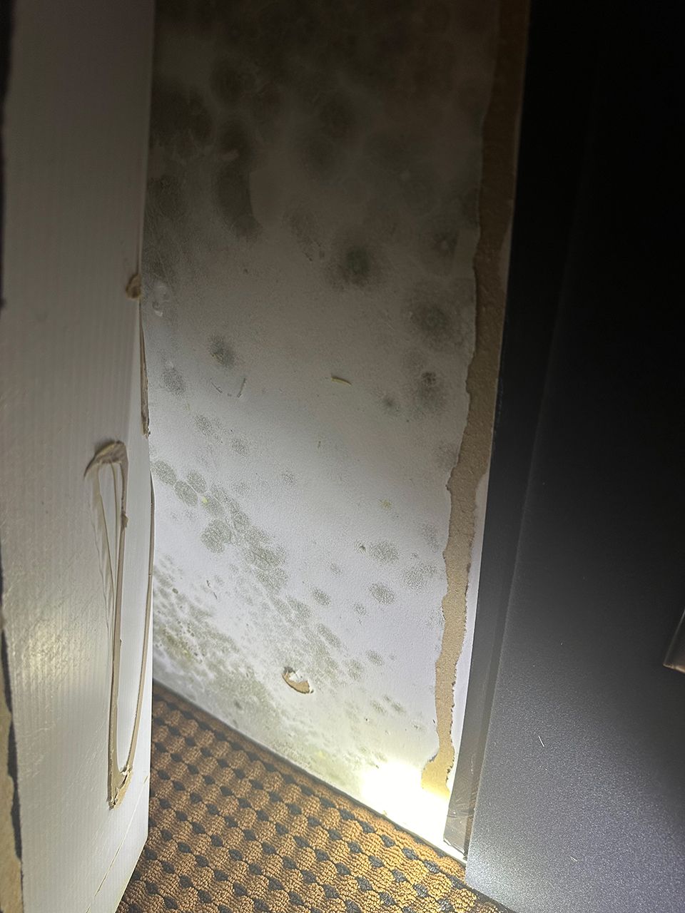 A room with a moldy wall and a carpeted floor