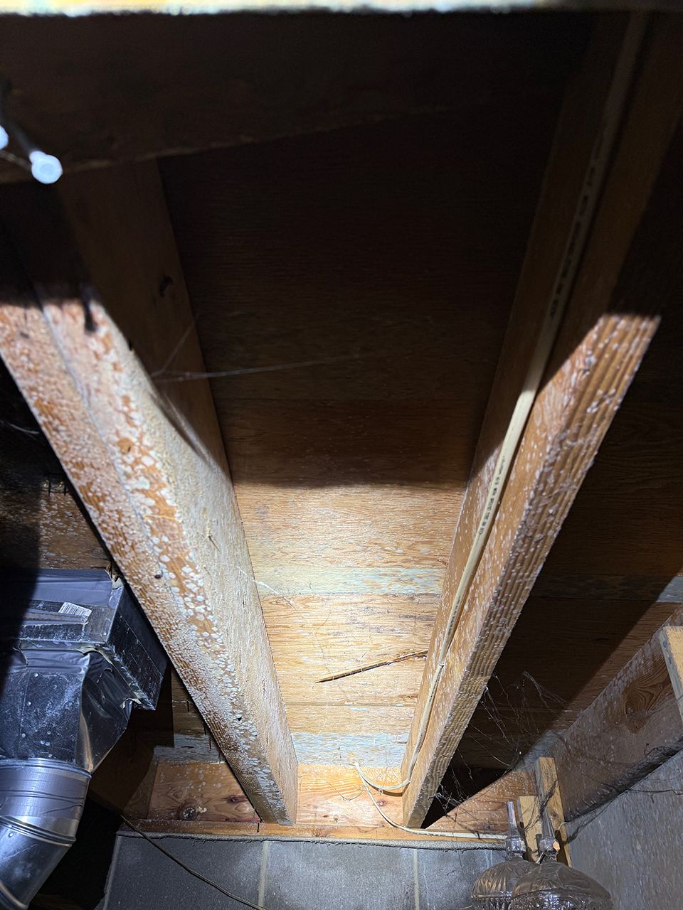 A close up of a wooden structure in a basement with molds