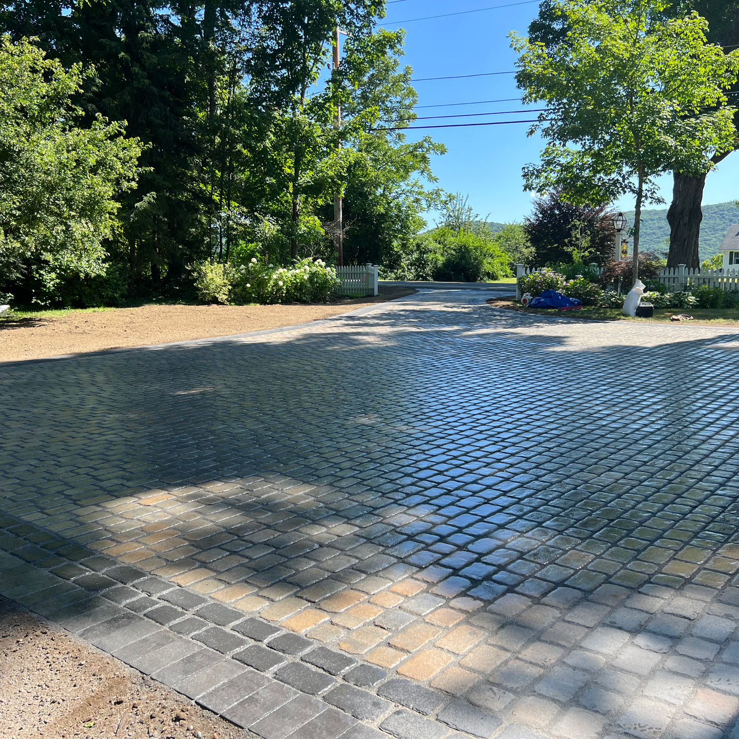 A brick driveway with trees on the side of it