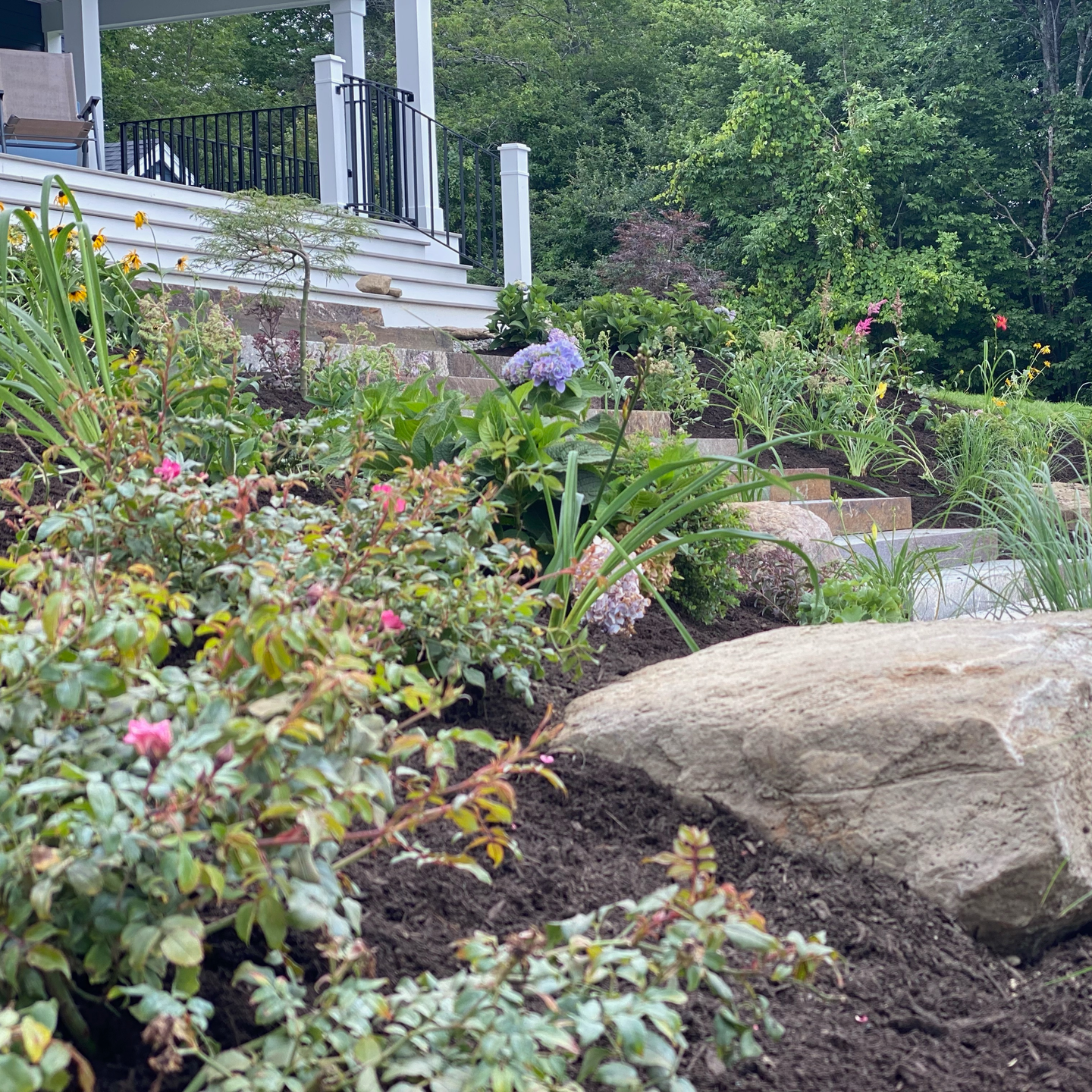 There is a large rock in the middle of the garden.