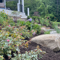 There is a large rock in the middle of the garden.