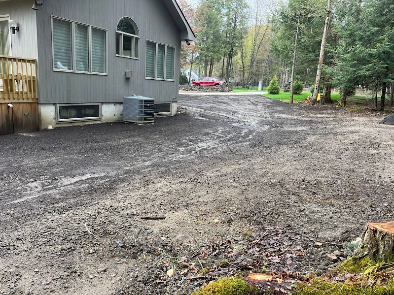 A dirt road leading to a house in the woods.