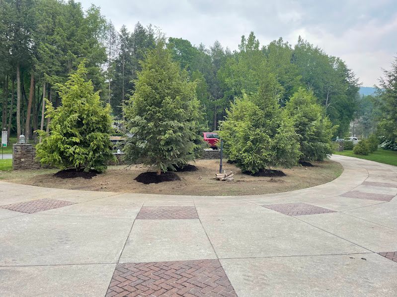 A row of trees along a brick walkway in a park.