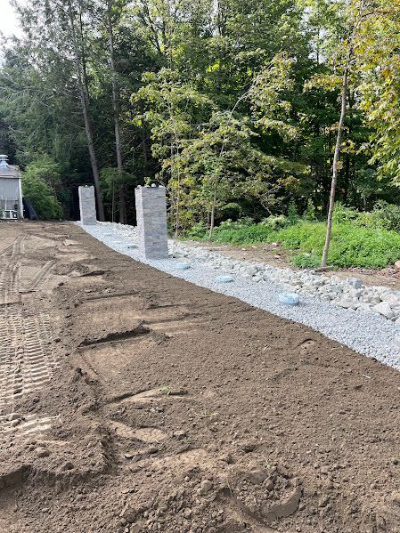 A dirt road going through a forest with trees in the background.