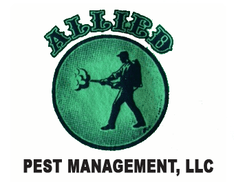 Allied Pest Control Management-Logo