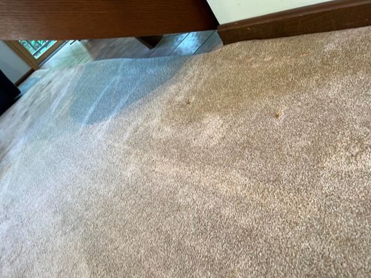 A room with a carpeted floor