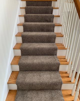 carpeted steps