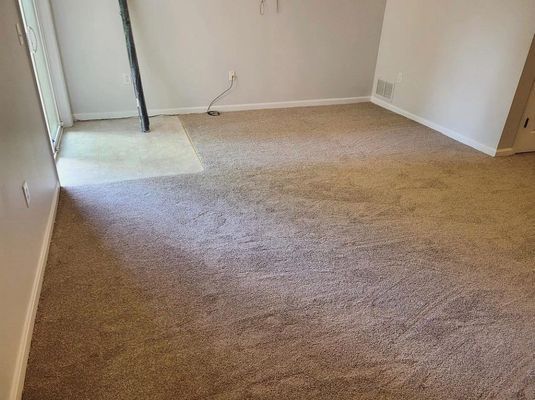 A living room with a brown carpet and white walls.