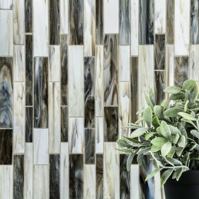 A potted plant is sitting in front of a wall of tiles.
