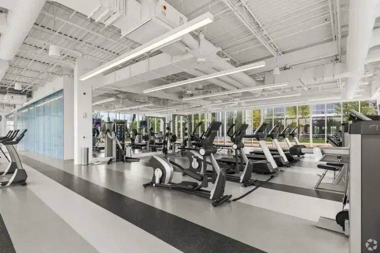 A large gym filled with lots of treadmills and exercise bikes.