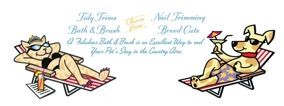 Dog and cat in sunglasses relaxing on beach chairs. Text for pet grooming services.