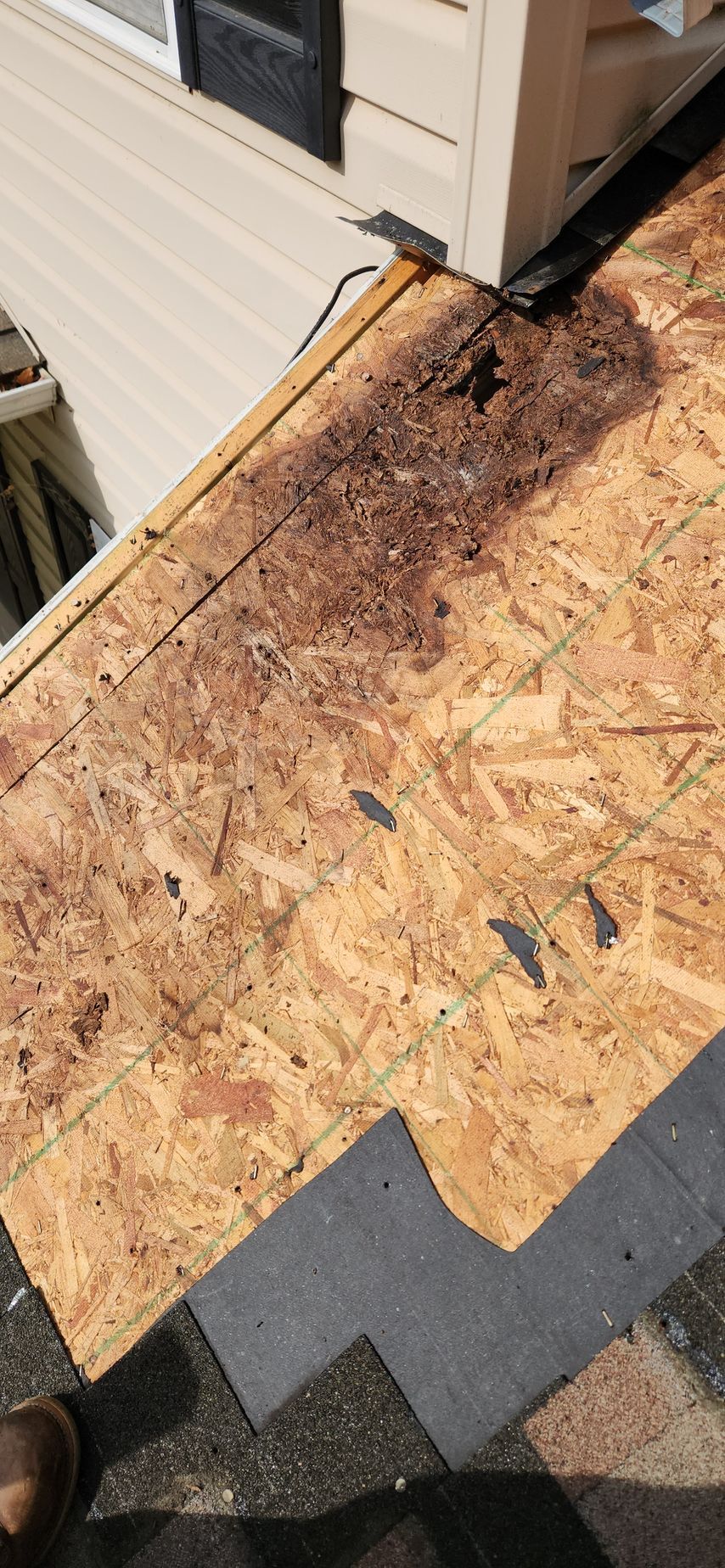 A person is standing on a roof with a piece of plywood on it.