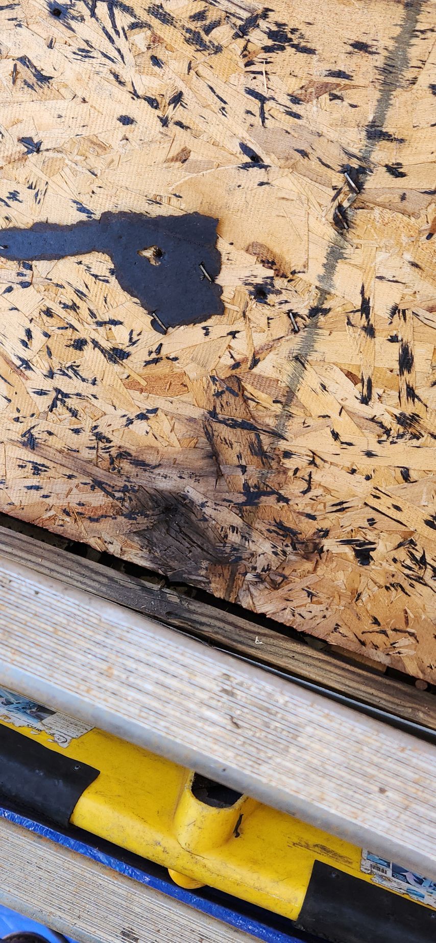 A close up of a piece of wood with a yellow and black tool on it.