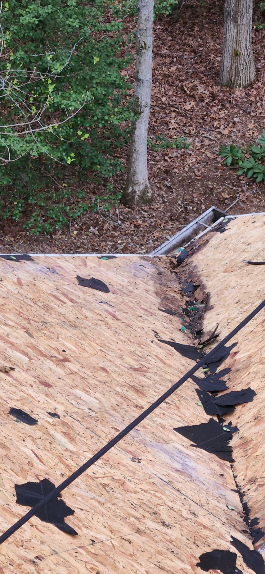 A roof with a lot of leaves on it and trees in the background.