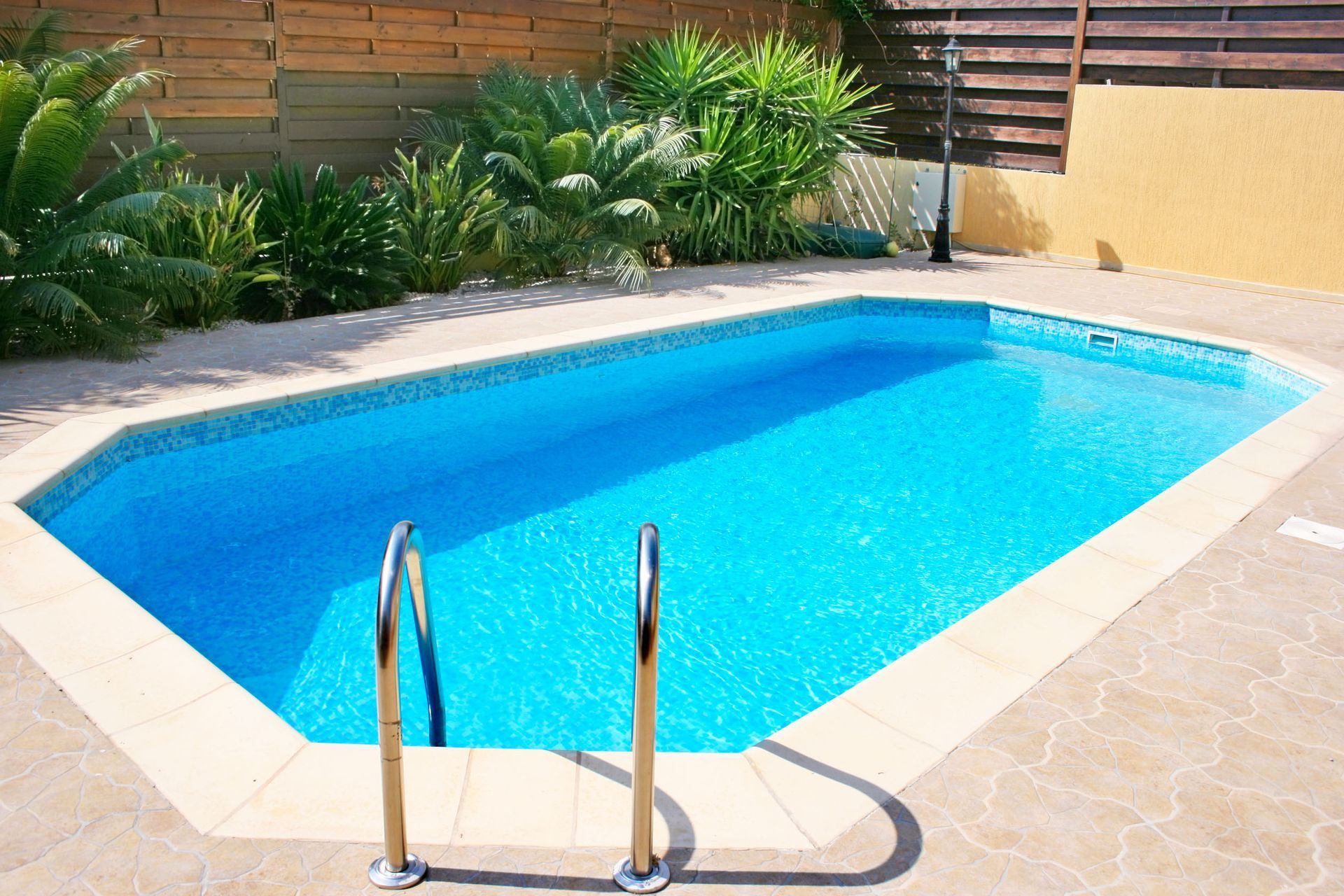 Backyard swimming pool with blue water, stone deck, and ladder, bordered by plants and a wooden fence
