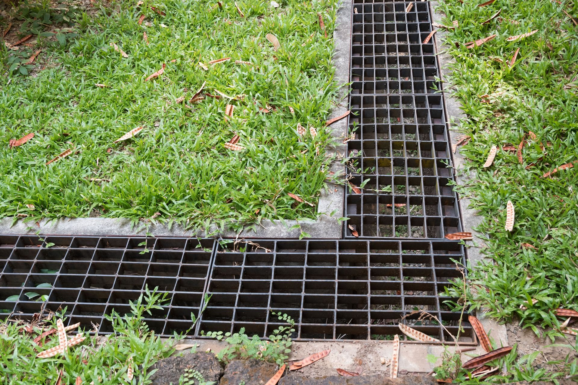 A top-down view of black metal drainage grates set into a corner in a patch of green grass with fallen leaves.