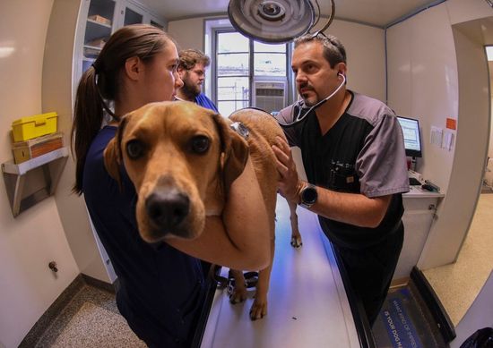 Surgical Treatment
