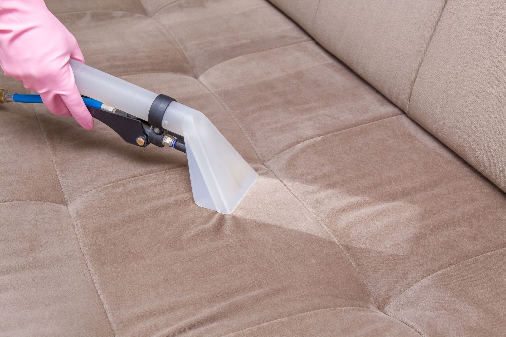 upholstery cleaning
